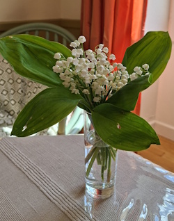 Muguet Annie