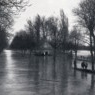 La pelouse de Bagatelle